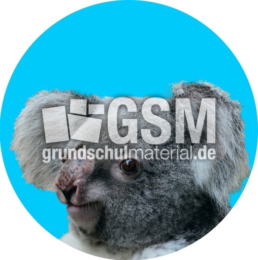 Koala-Gruppenkarte_1.jpg